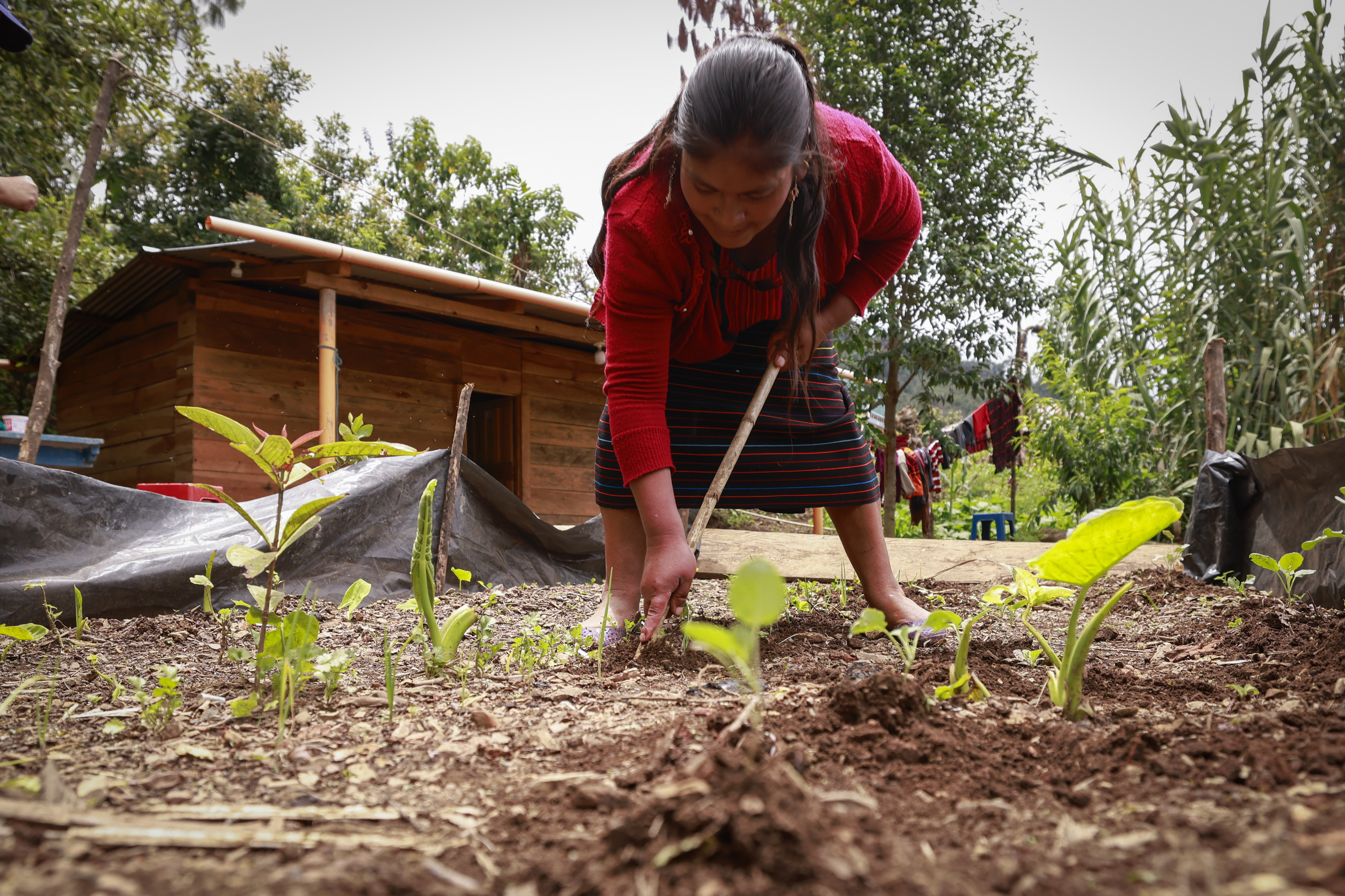 Fortaleciendo capacidades para un mejor servicio